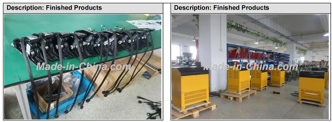 0301106001 Provide Original Liftstar Wwp Electric Stacker Steering Motor DC Controller Sk-030