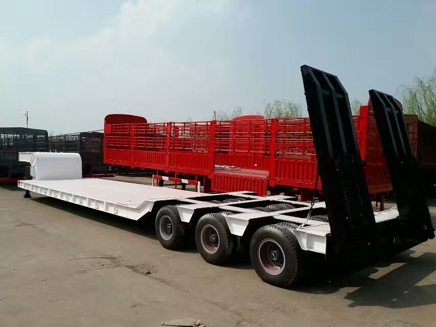 2 Axles Low Boy Trailer (SM-100)