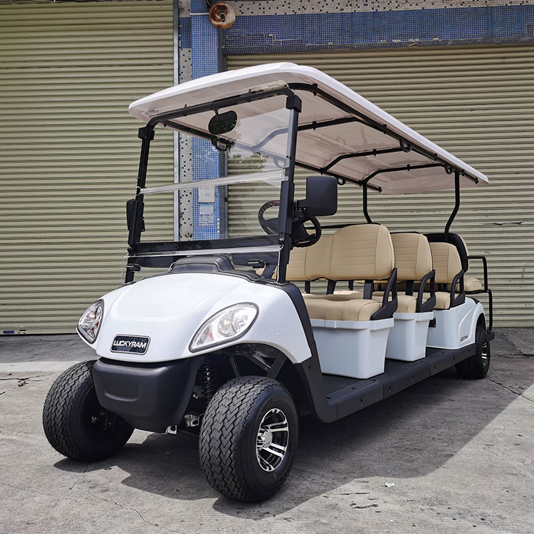 Why Should Your Tourist Business Switch To Electric Sightseeing Vehicles