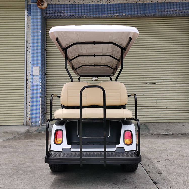 Why Are Electric Sightseeing Cars A Sustainable Transport Solution For Cities