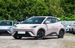 Why Are Passenger Vehicles Becoming the Core of Modern Mobility Solutions?