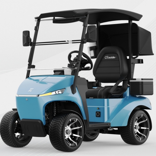 Can an AI Following Electric Golf Cart Carry Two Full Golf Bags and Still Follow Accurately