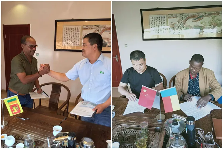 220cm*160cm*230cm Customized 220V Hot Food Trailer Hot Food Truck