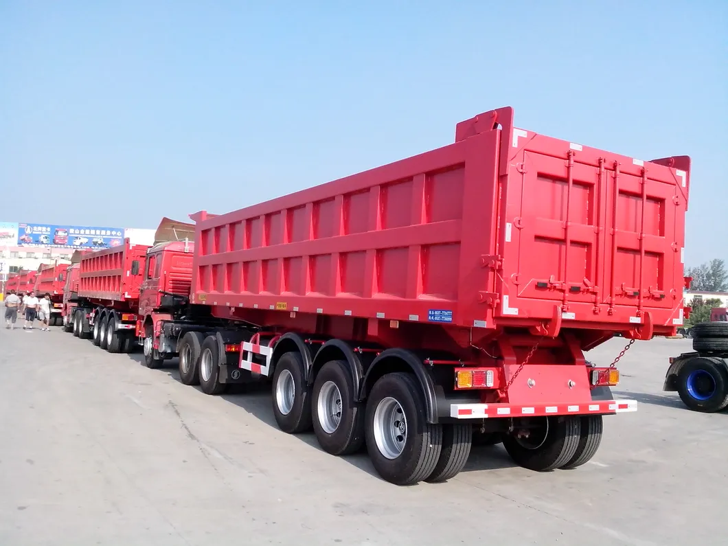 3 Axle Dumper Truck Trailer/Tipper Trailer with Hardox Steel Hyva Cylinder 196-7300