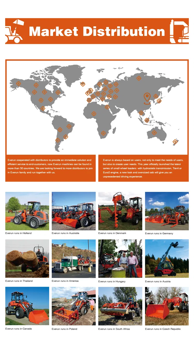 Competitive Price Everun Erdf35 3.5ton Wood Industry Mini Small Forklift for Sale