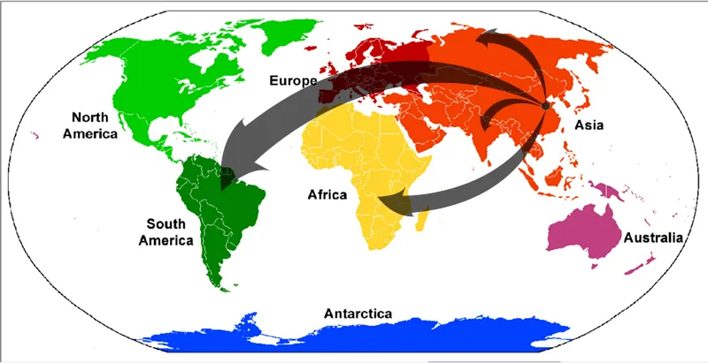 Goldhofer Muli-Axles Hydraulic Lifting Low Bed Modular Semi Trailer with Power Gooseneck