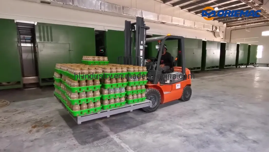 Heli 2.5 Ton Cpcd25 Manual New Forklift Trucks with Clamp