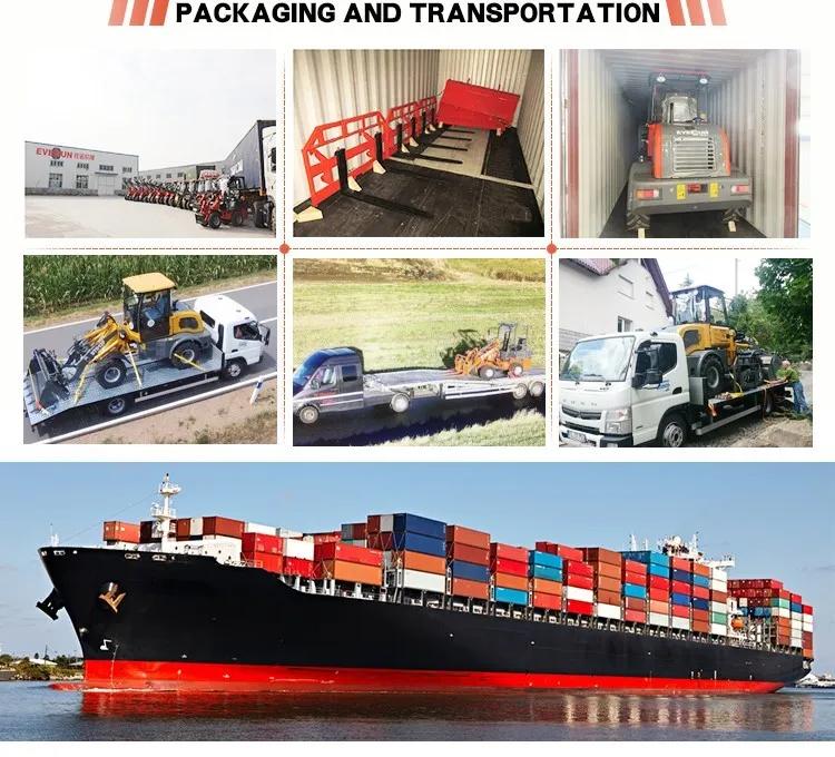 Reliable Producer Everun Supply Erdf20 2ton Diesel Forklift Hot Selling with Factory Price