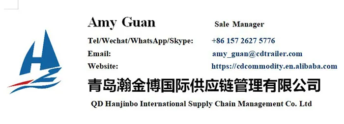 Used Skeleton Trailer 20FT 40FT Container Semi Trailer Skeleton